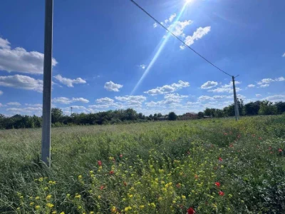 Продаж ділянки на Щасливому