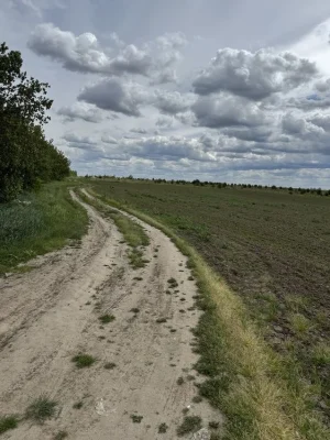 Продаж землі 50 сот комерційного призначення