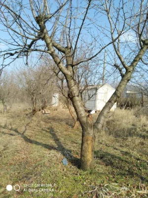Приват дача в м.Дніпро