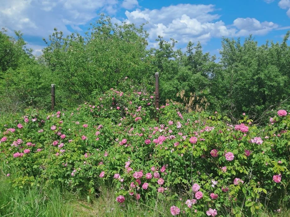 Приват дача в м.Дніпро