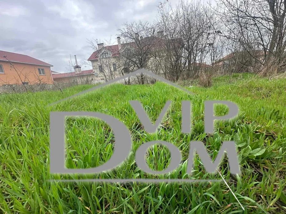 Plot near the sea, Odesa, Sauvignon, Voskhod.
