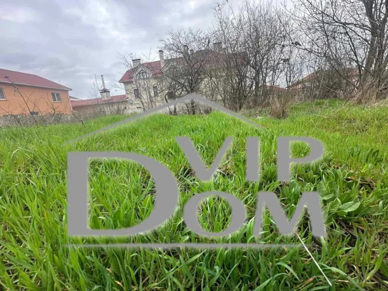 Plot near the sea, Odesa, Sauvignon, Voskhod.
