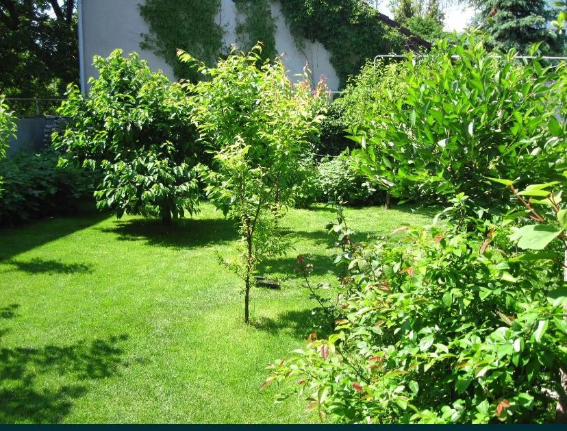 A beautiful plot on Fontana!