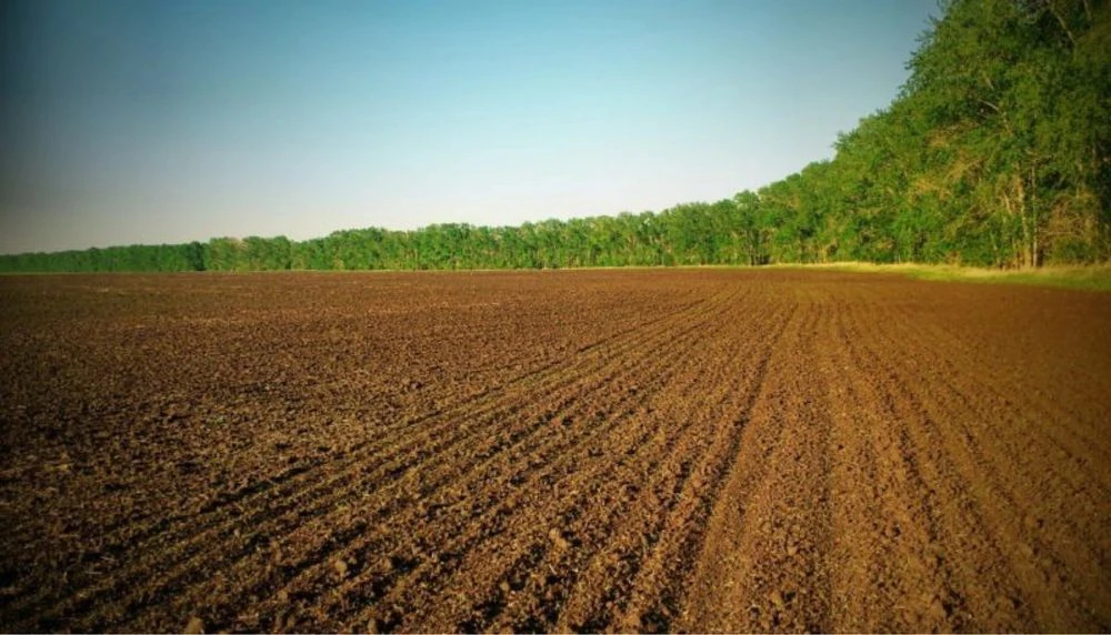 Agricultural land share, 6.72 hectares