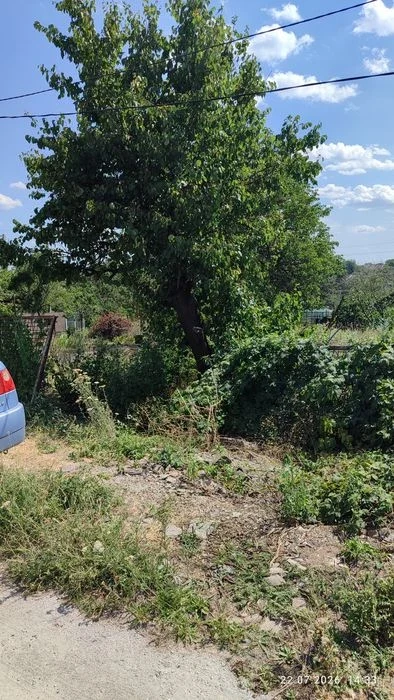 I will sell a plot of 7 acres