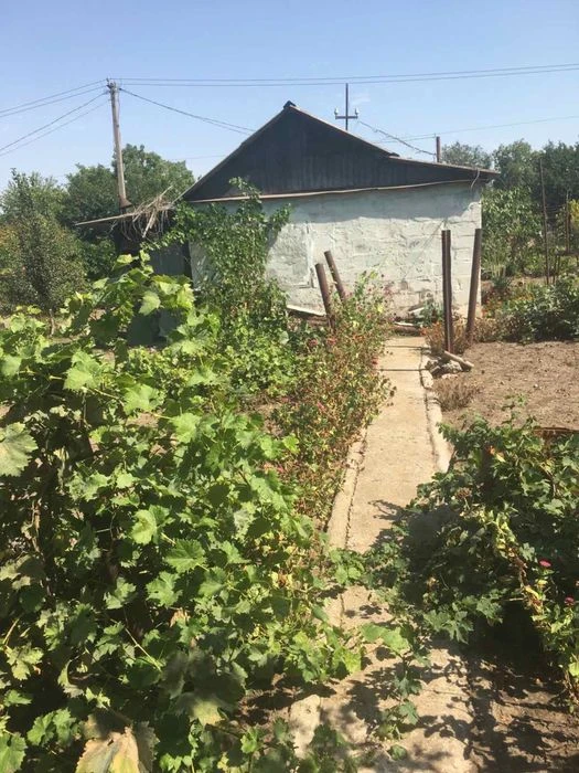 Dacha in the city of Shevchenko district