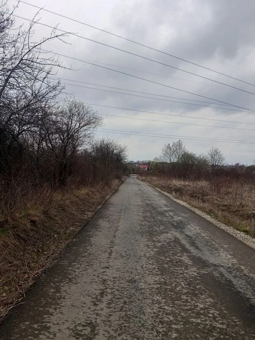Продам земельну дачну ділянку в Дем'яновому Лазі