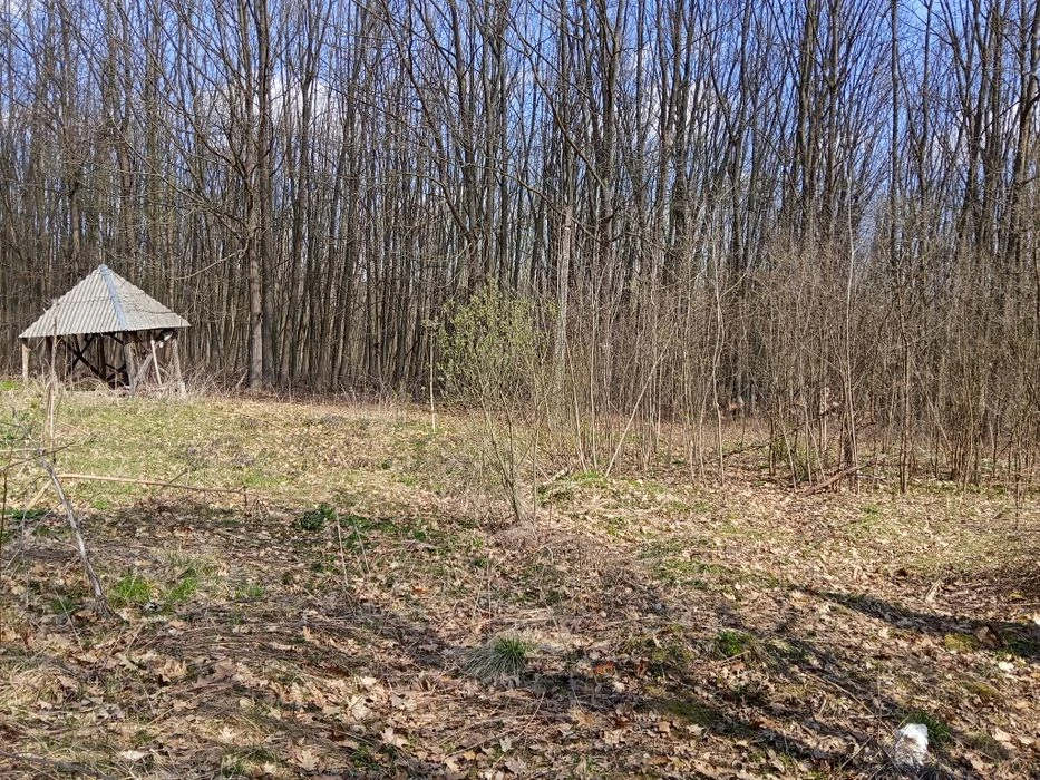 Продам дачу біля лісу в Дем'яновому Лазі