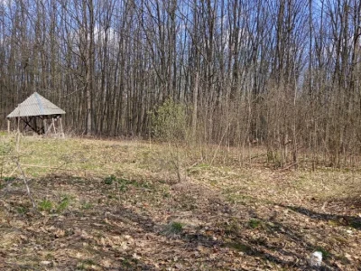 Продам дачу біля лісу в Дем'яновому Лазі