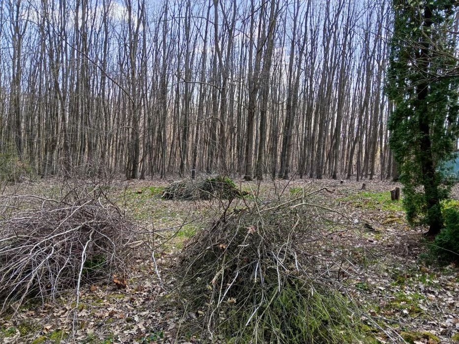 Продам дачу біля лісу в Дем'яновому Лазі