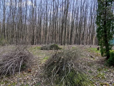 Продам дачу біля лісу в Дем'яновому Лазі