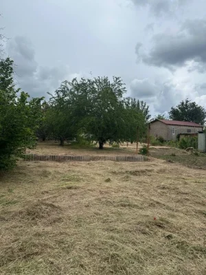 Plot/cottage for sale
