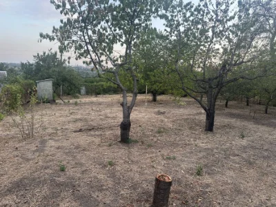 Plot/cottage for sale
