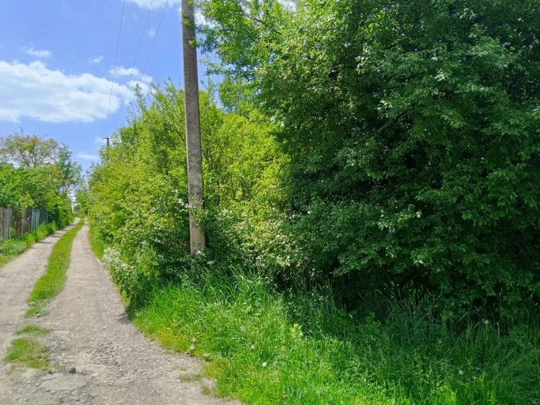 Продам дачу в Дем'яновому Лазі
