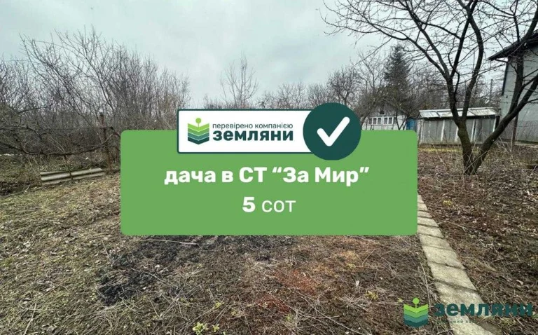 Продається дача 4,96 сот в СТ ЗА МИР (5)