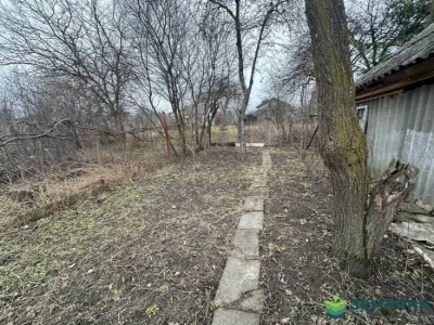 Продається дача 4,96 сот в СТ ЗА МИР (5)