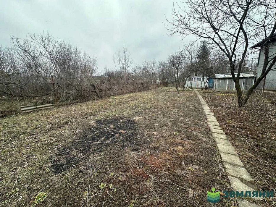 Продається дача 4,96 сот в СТ ЗА МИР (5)
