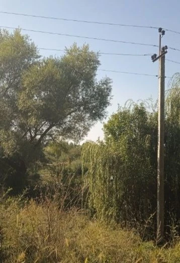 Продається земельна ділянка біля озера та ботанічного саду