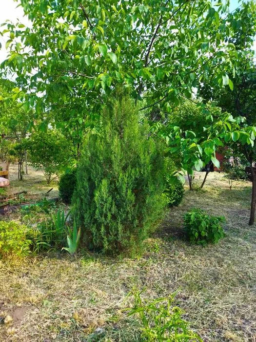 Продам земельный участок на Большом лугу
