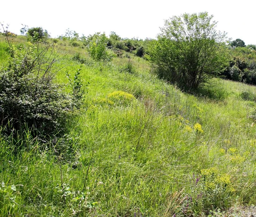 Plot of 15 acres on Vyrva. Private property. Industrial zone.