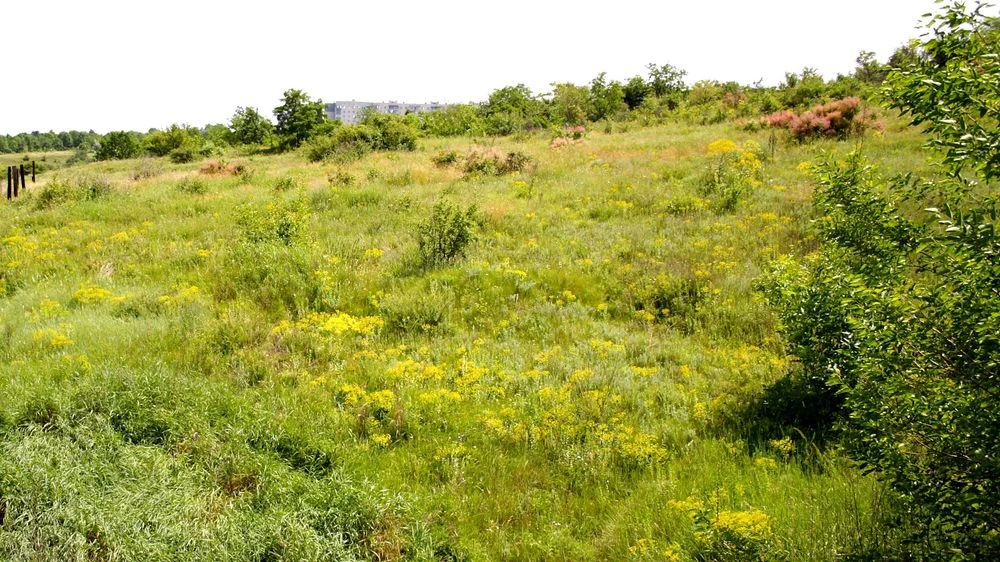 Plot of 15 acres on Vyrva. Private property. Industrial zone.