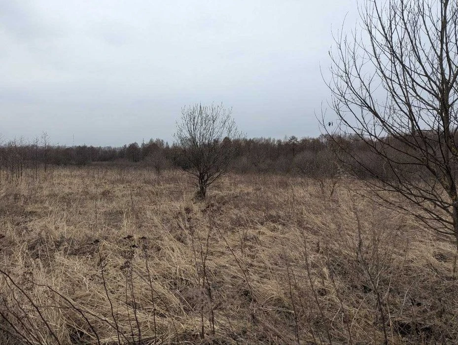 Ділянка 10 сот Демянів Лаз під інвестицію (8)