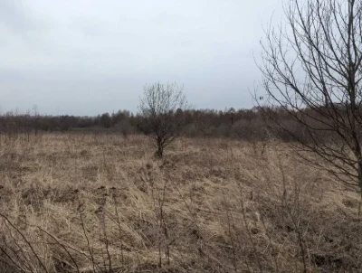 Ділянка 10 сот Демянів Лаз під інвестицію (8)