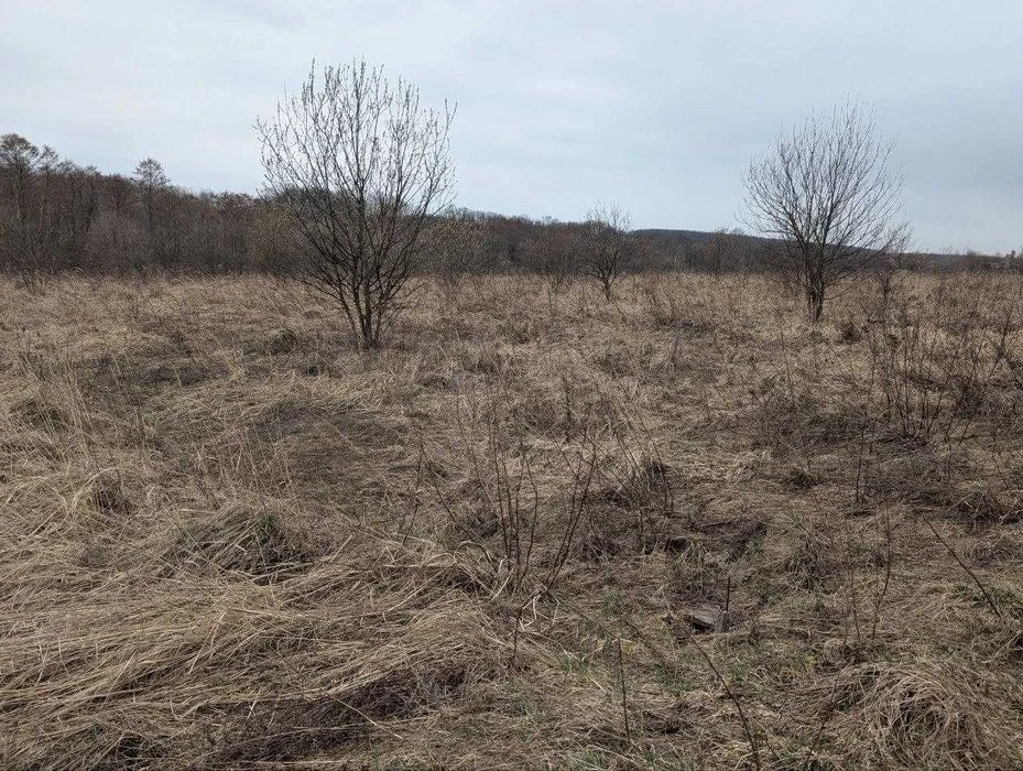 Ділянка 10 сот Демянів Лаз під інвестицію (8)