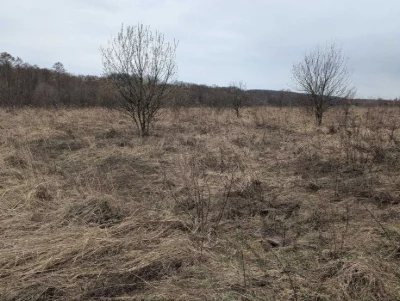 Ділянка 10 сот Демянів Лаз під інвестицію (8)