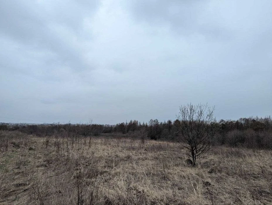 Ділянка 10 сот Демянів Лаз під інвестицію (8)