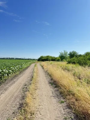 Продаж комплексу земельних ділянок. Дачі Медик