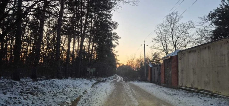 Земельна ділянка біля лісу.