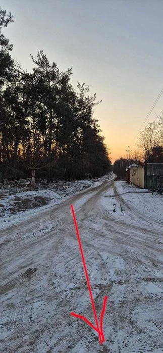 Земельна ділянка біля лісу.