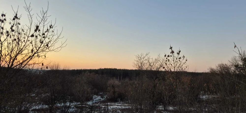 Земельна ділянка біля лісу.