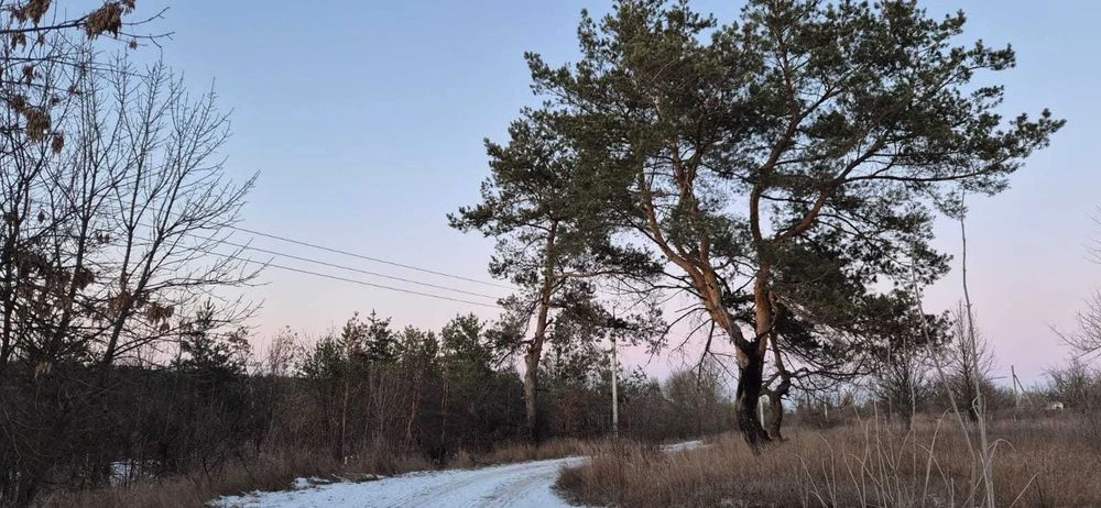Земельна ділянка біля лісу.