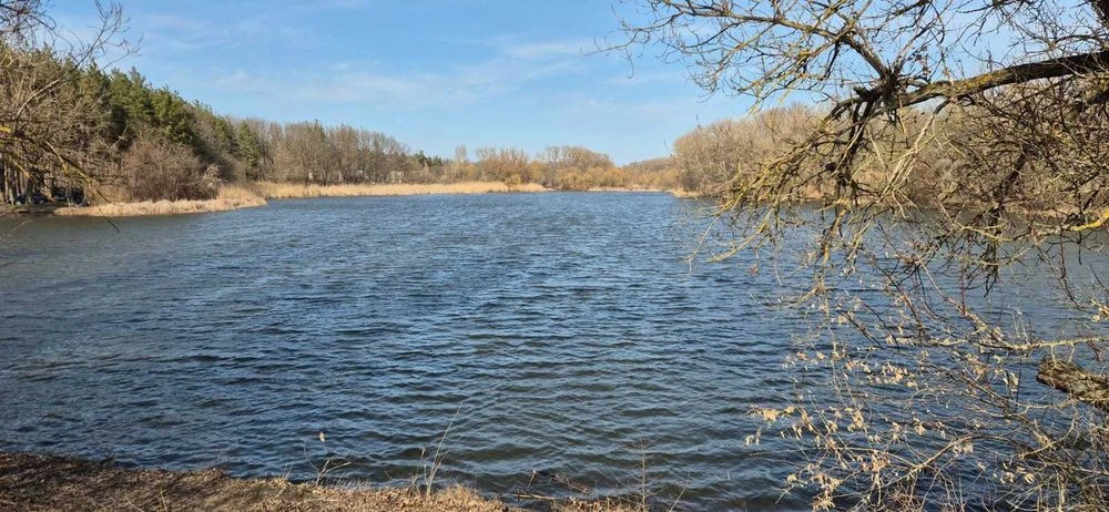 Земельна ділянка біля лісу.