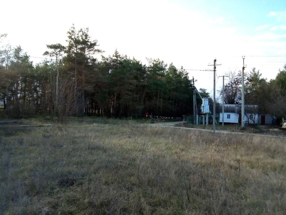 Земельна ділянка біля лісу.