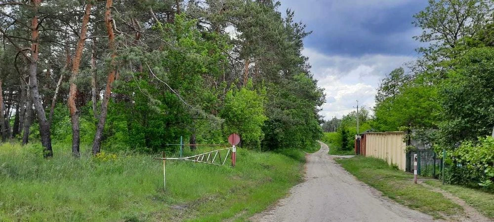 Земельна ділянка біля лісу.