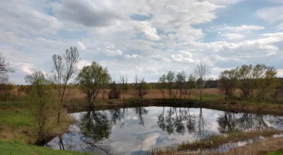 Продаж мальовничої земельної ділянки зі своїм ставком у межа