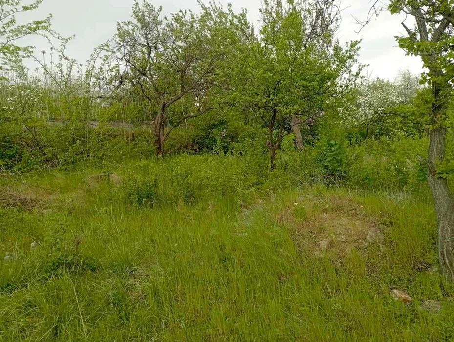 Продам дачу в мальовничому куточку, на березі річки з гарним