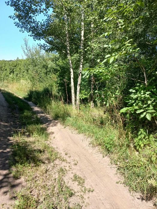 Продаж земельної ділянки під забудову в гарному місці. Полта