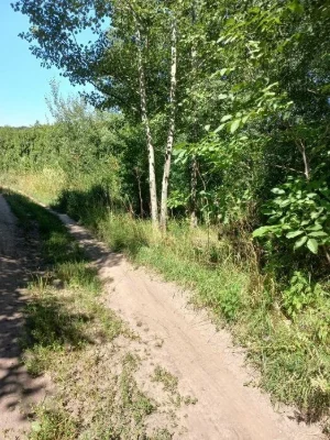 Продаж земельної ділянки під забудову в гарному місці. Полта