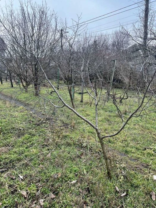 Продам дачу з усіма комунікаціями в межах міста, Ракетне Уро