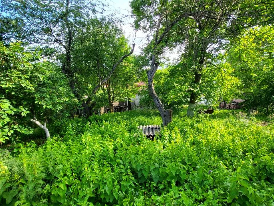 Ділянка. Полтава, Нижньомлинська вул.