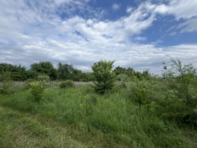 Земельна ділянка Полтава