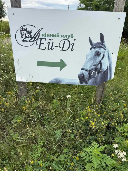 Продаж ділянки на Гожулах