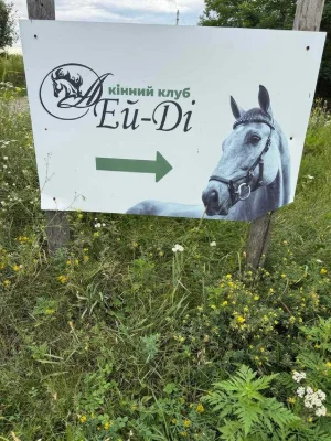 Продаж ділянки на Гожулах