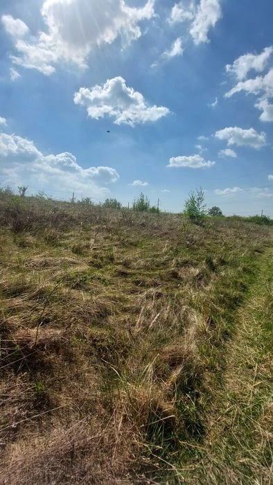 Земельна ділянка дачний масив Горяни
