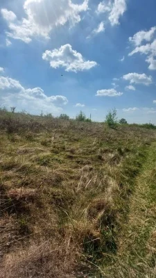 Земельна ділянка дачний масив Горяни