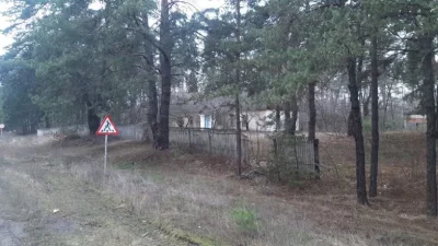 Ліс, будинок,4 гаражі ,унікальне місце для бізнесу і  відпоч